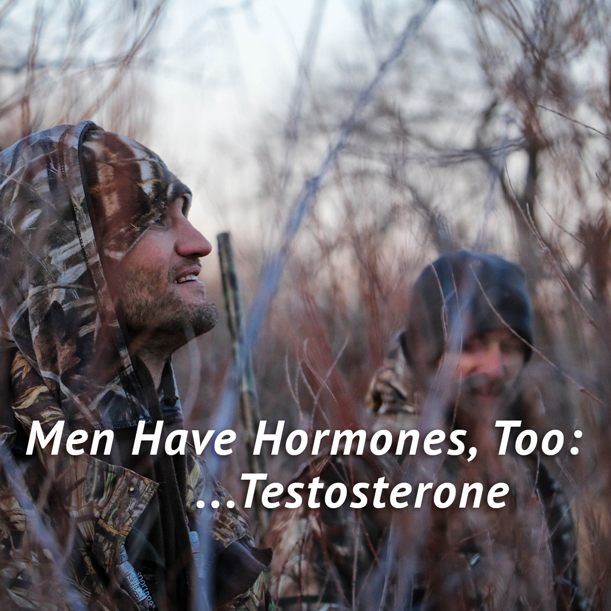 testosterone