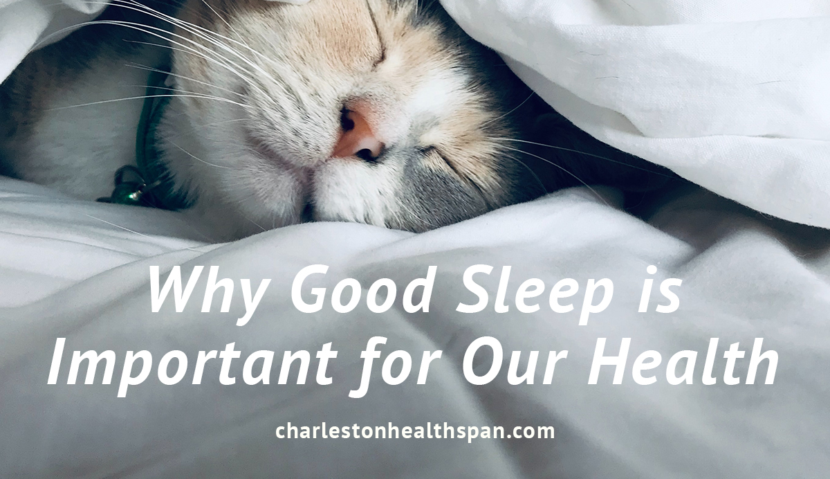 Why Good Sleep is So Important for Our Health - Charleston HealthSpan