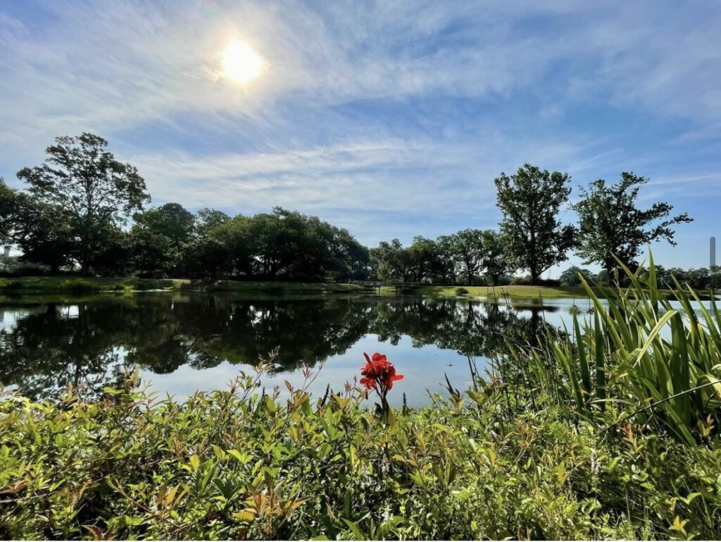 Smythe Park
