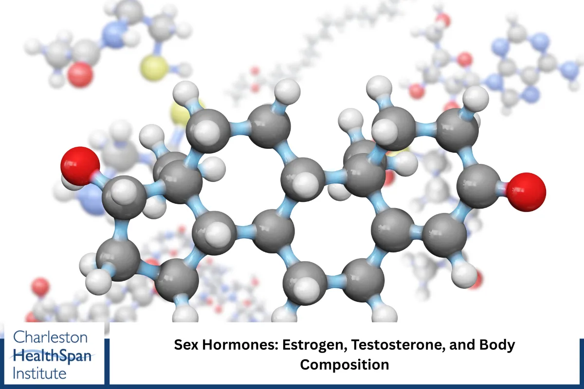 Sex Hormones: Estrogen, Testosterone, and Body Composition