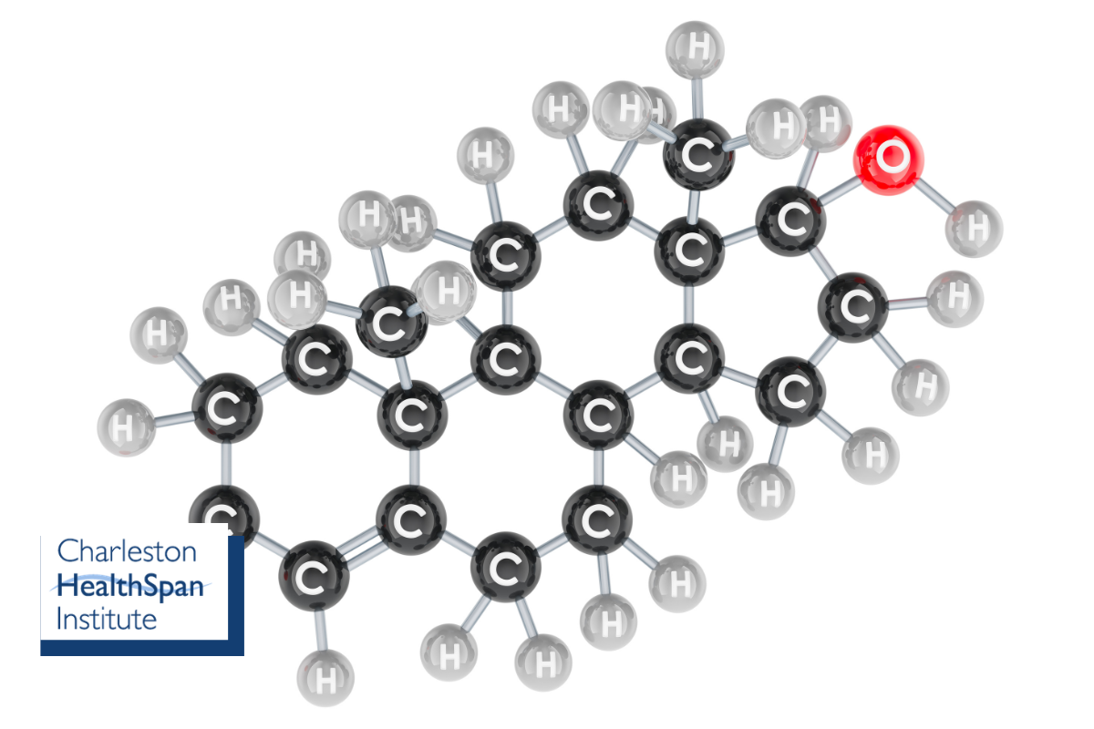What Are Peptides and Why Pair Them with Testosterone